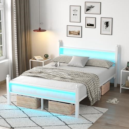 CollaredEagle Queen Bed Frame with Headboard and F